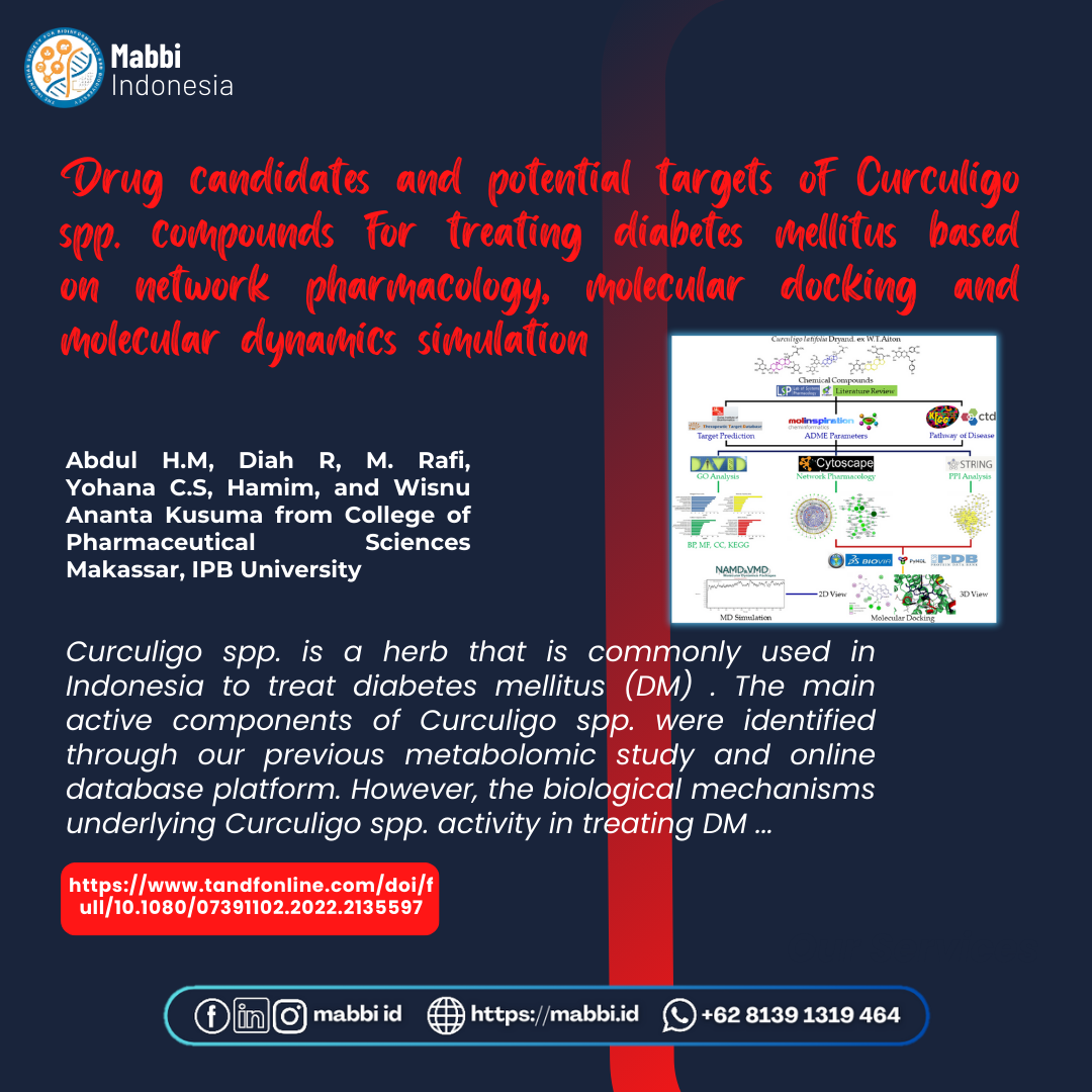 Drug candidates and potential targets of Curculigo spp. compounds for treating diabetes mellitus based on network pharmacology, molecular docking and molecular dynamics simulation 